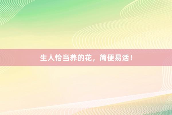 生人恰当养的花，简便易活！