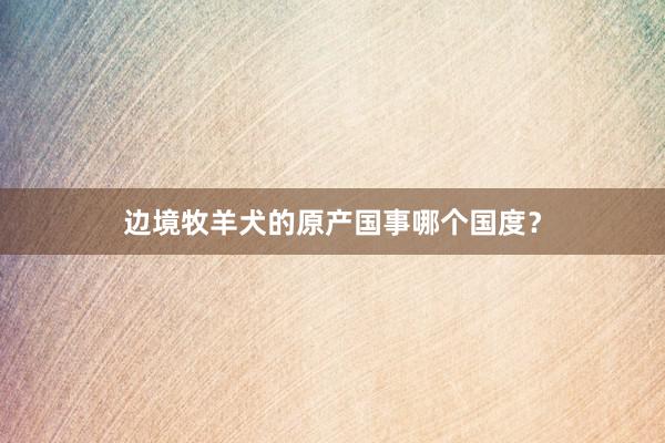 边境牧羊犬的原产国事哪个国度？