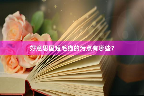 好意思国短毛猫的污点有哪些？